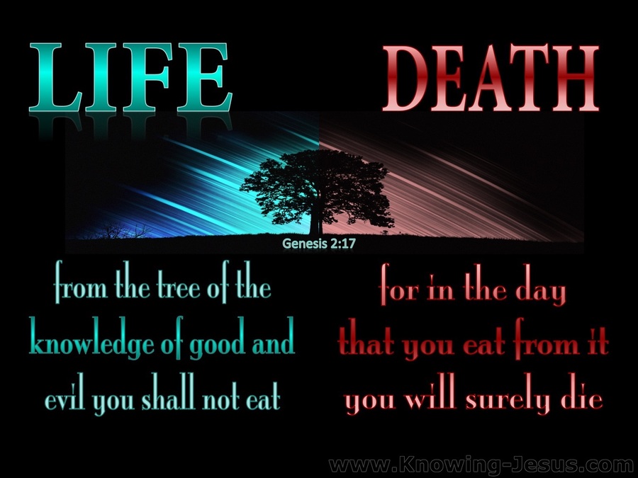 You will surely die!